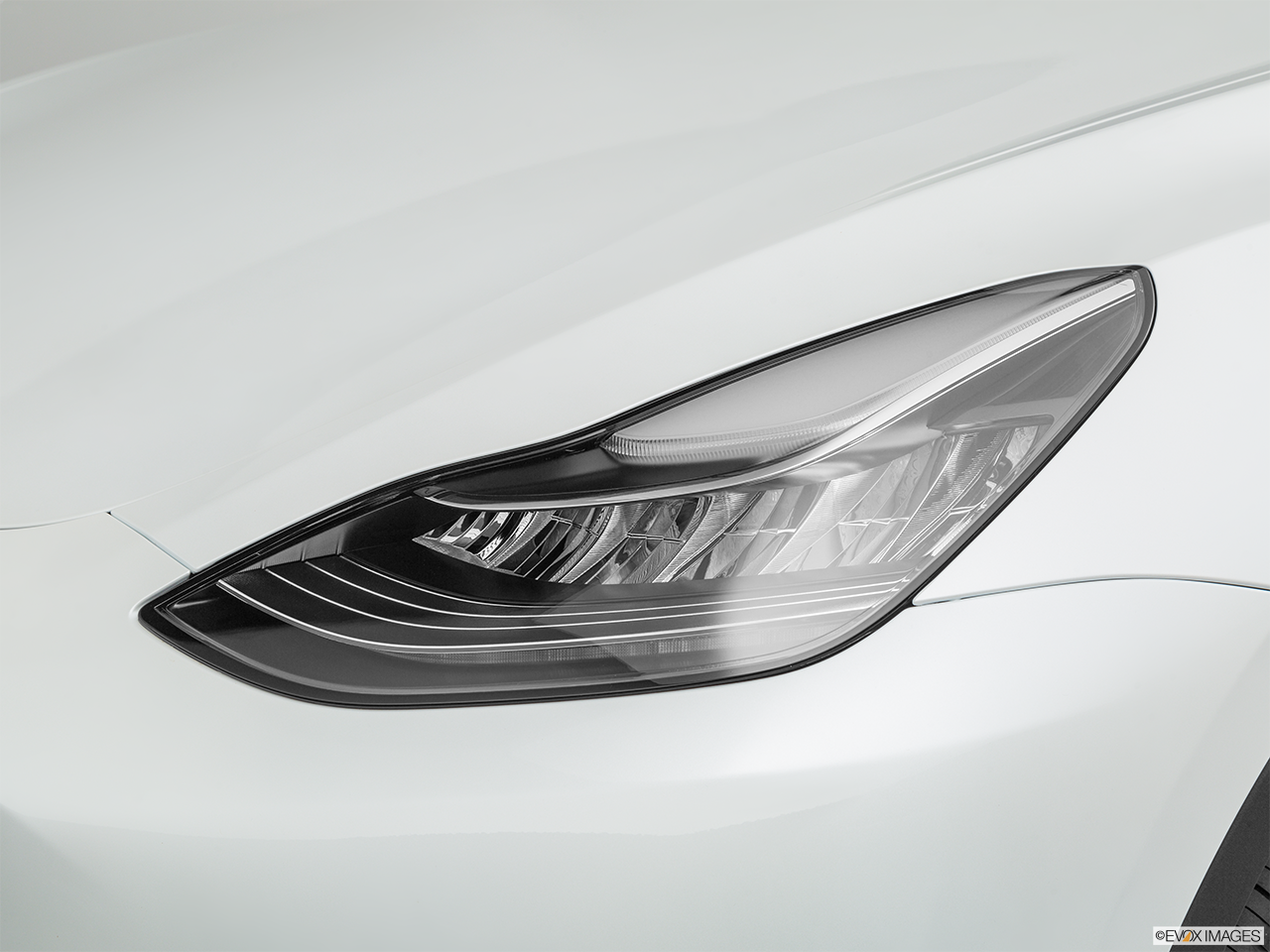 2024 Tesla Model Y Base