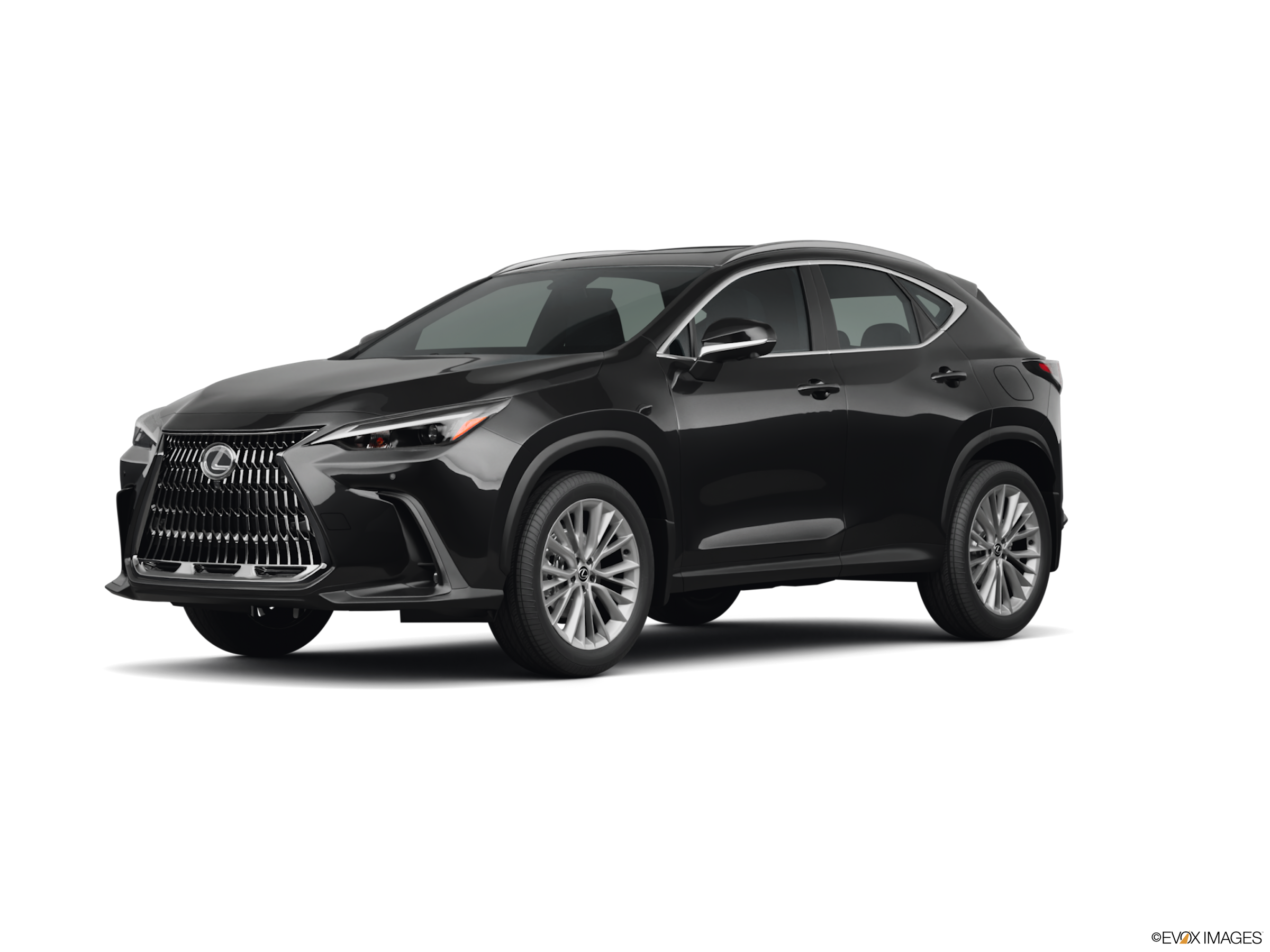 2025 Lexus NX 350 Base