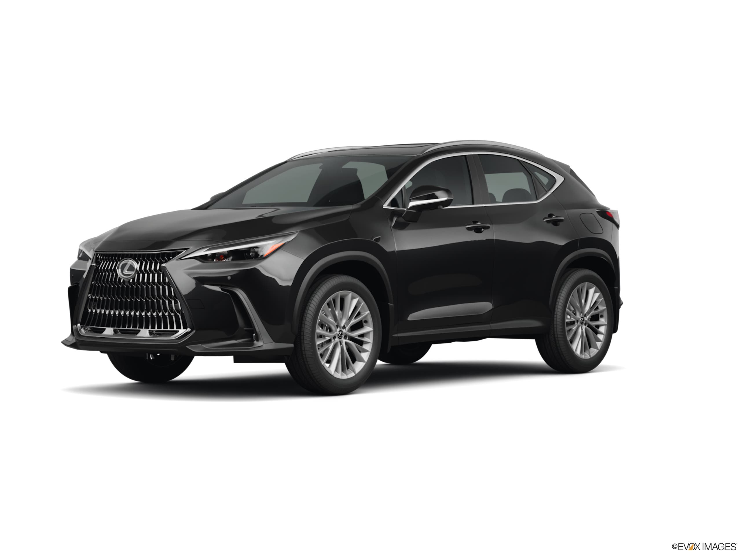 2025 Lexus NX 350
