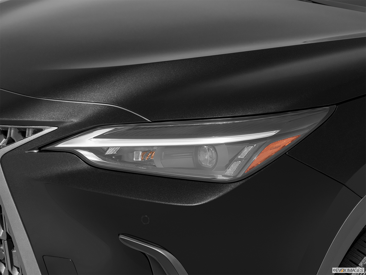 2025 Lexus NX 350 Base