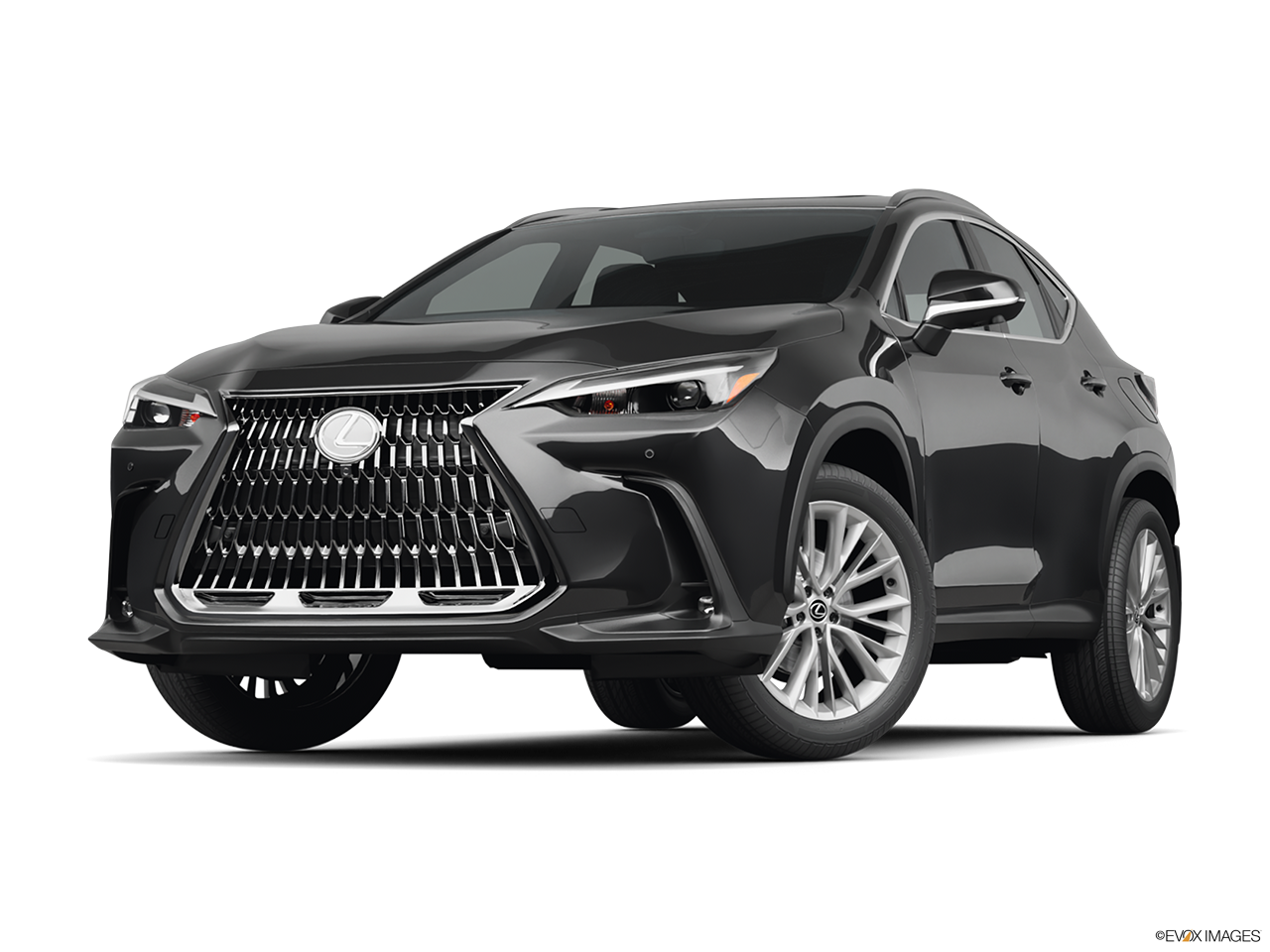 2025 Lexus NX 350 Base