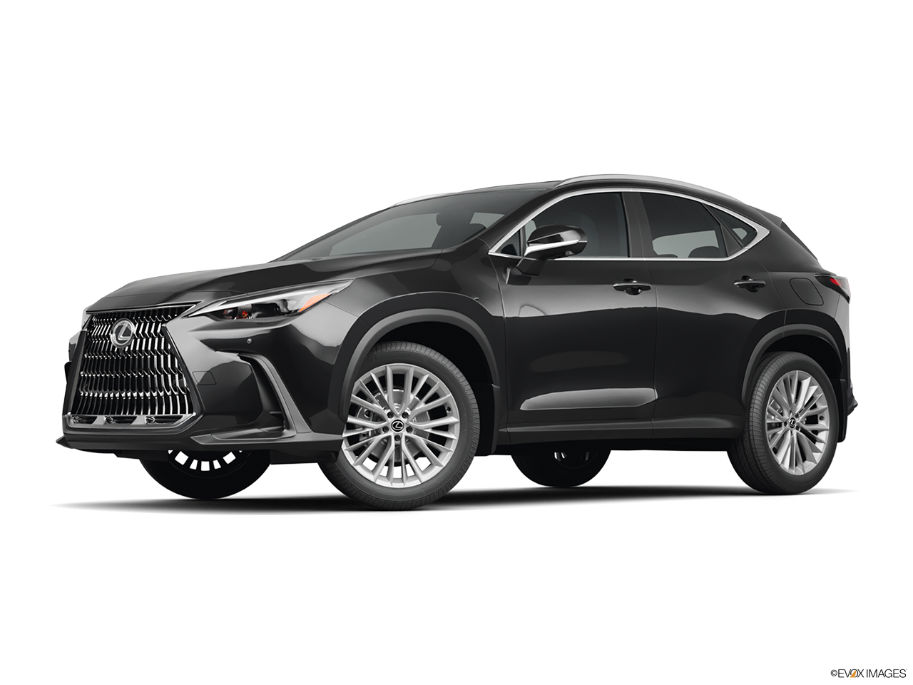 2025 Lexus NX 350 Base