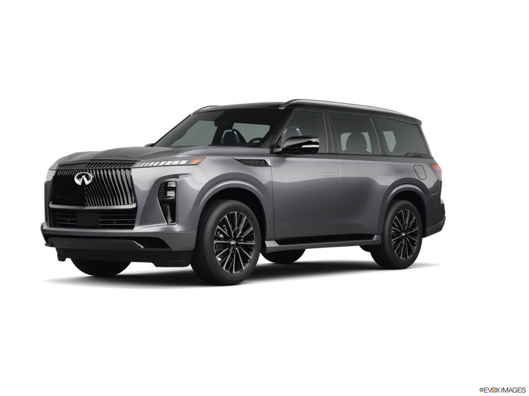 2025 INFINITI QX80 Pure