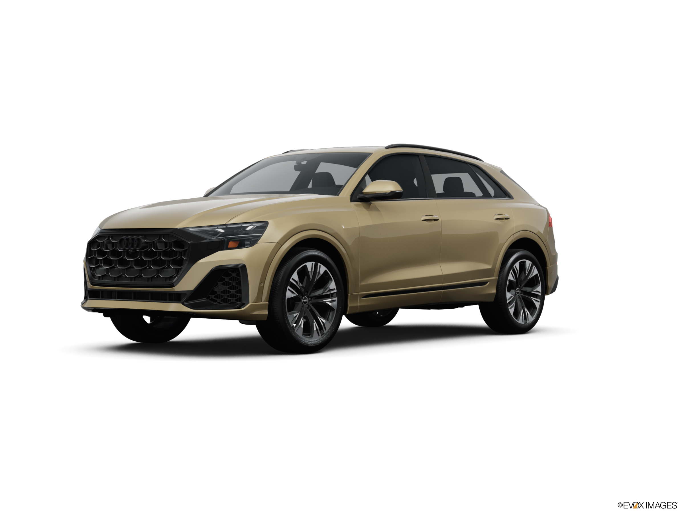 2025 Audi Q8 quattro Premium 55 TFSI