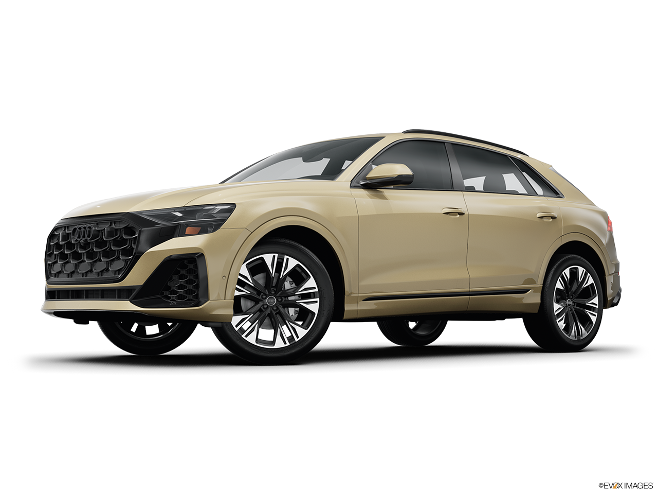 2026 Audi Q8 quattro Premium 55 TFSI