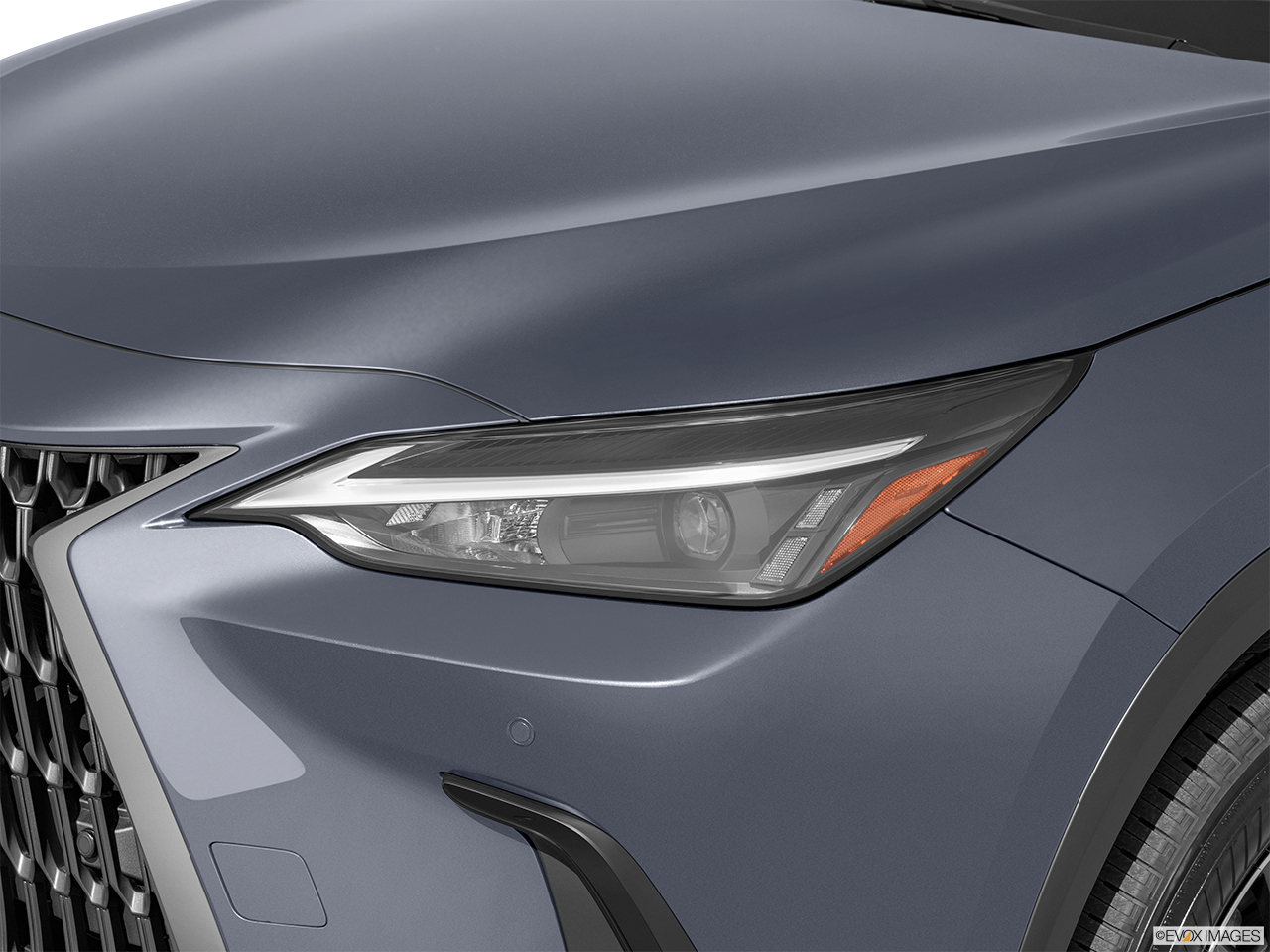 2025 Lexus NX 350h Base