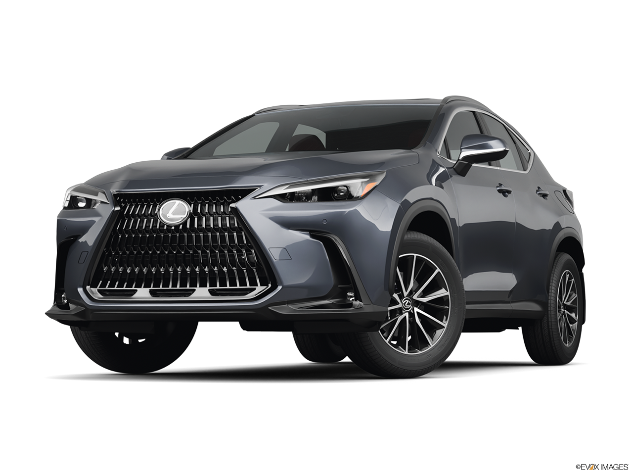 2025 Lexus NX 350h Base
