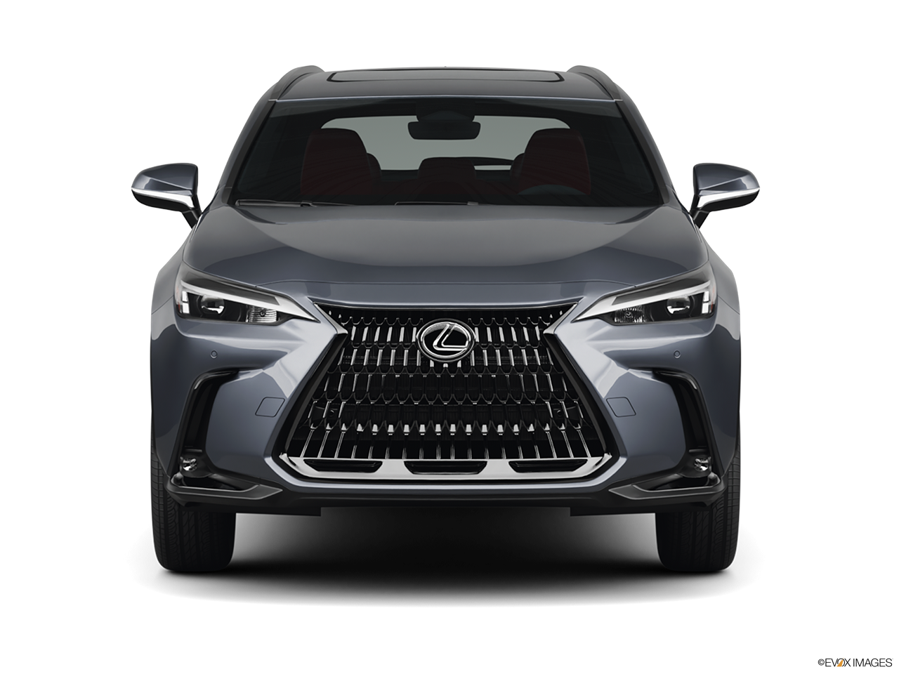2025 Lexus NX 350h Base