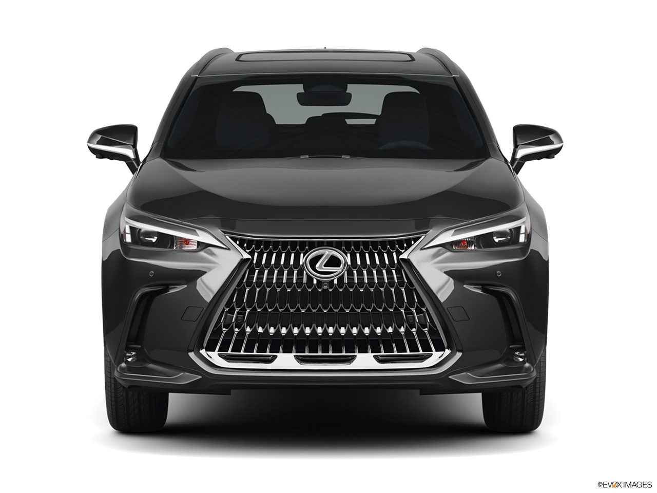 2026 Lexus NX 350 Base